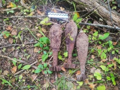 Житель одной из деревень России обнаружил миноментые мины у себя на участке