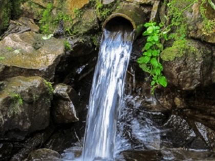 Ученые оценили риски для здоровья при повышенном содержании железа в воде