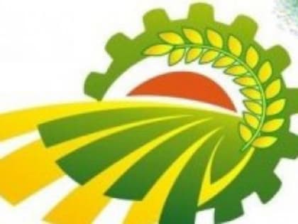 В хозяйствах Тяжинского округа полным ходом идет подготовка к весенне-полевым работам