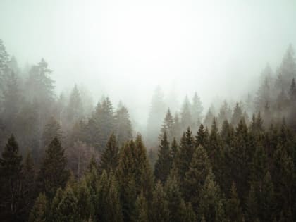 Кузбасс накроют туманы и грозы