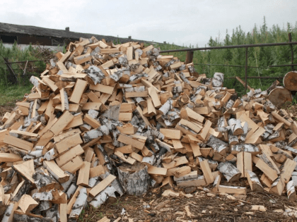 Дрова в Кузбассе одни из самых дешевых в Сибири
