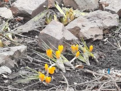 Погода в Кузбассе станет ещё интереснее