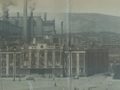 Новая сосна на площади Побед в Новокузнецке