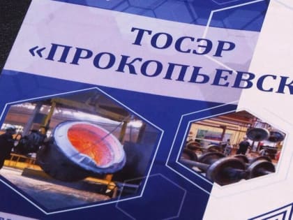 Президент поддержал предложение продлить действие льготного налогового режима для ТОР 