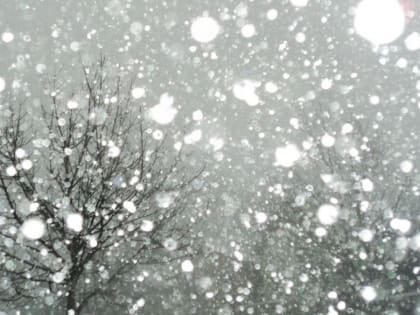 В Кузбассе температура воздуха в январе превысила норму