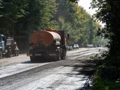 На Шорникова в Кемерове сохранят деревья и клумбы, заботливо высаженные жильцами 