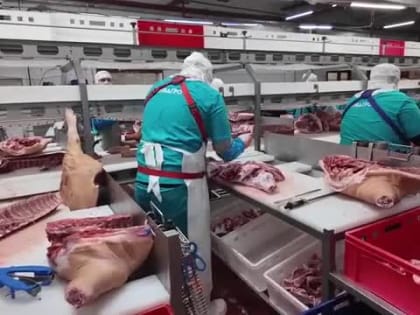 Готовность показать все этапы производства