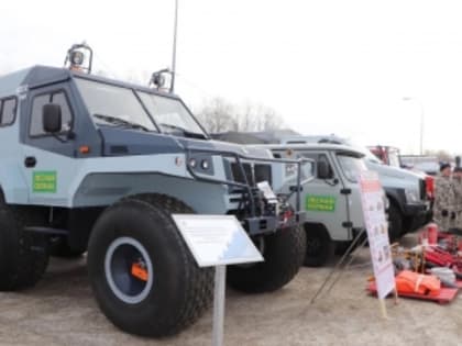 В этом году количество лесных пожаров в Кузбассе сократилось в 35 раз