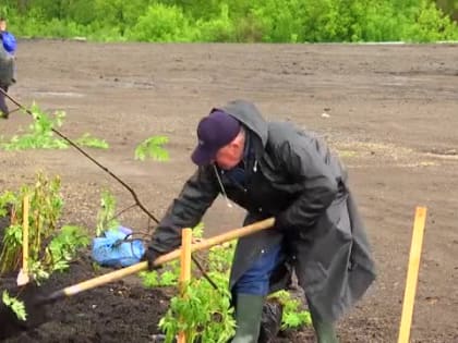 Распадская озеленила «Кузбасскую ярмарку»