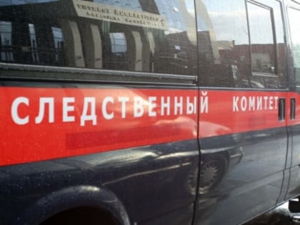 В торговом центре Кузбасса на ребенка упала металлическая дверь