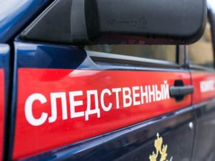 В Кузбассе семейная пара подралась с полицией и отдельно обматерила Росгвардейца