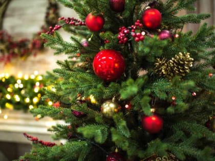 МЧС: Правила безопасности при установке новогодней ёлки