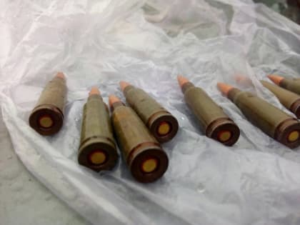 Женщина "затарилсь" 1700 патронов и попала под уголовное дело