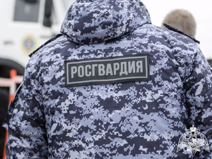 Росгвардейцы разыскали рецидивиста, находящегося в розыске за кражу в сетевом магазине (ВИДЕО)