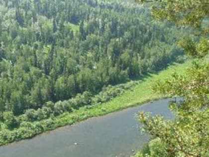 Экологи попросили губернатора Кузбасса вернуть упразднённую Дирекцию особо охраняемых природных территорий региона