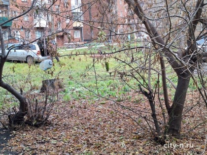 Новые инициативы в области здравоохранения в Москве