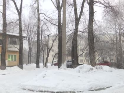 Аварийные деревья ликвидируют