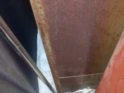 Спасатели в Кузбассе вызволили из западни милое создание