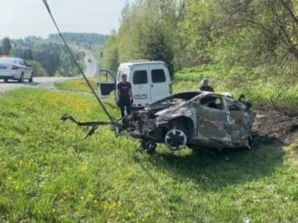 Ужасные кадры с места: появились подробности масштабной смертельной аварии