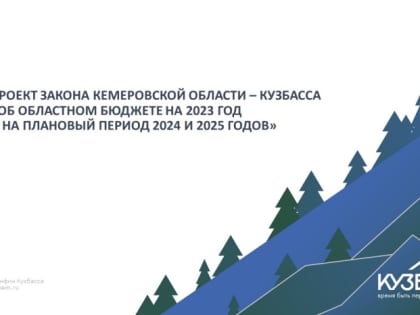 Проект регионального бюджета на 2023-2025 годы принят  в первом чтении