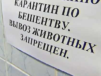В Кузбассе ввели карантин по бешенству