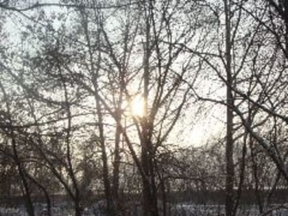В воскресенье в Кузбассе ожидаются температуры около нуля, порывистый ветер и мокрый снег