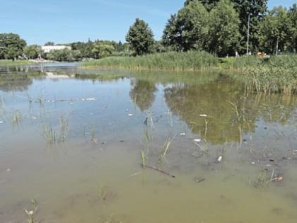 Врач рассказал об 10 опасных болезнях, которые можно подхватить при купании в стоячей воде