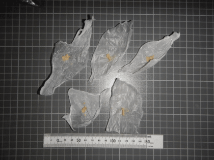 В Прокопьевске с поличным задержали торговку героином