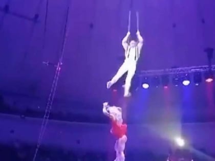 ЧП на представлении: артистка Валерия Запашная пострадала