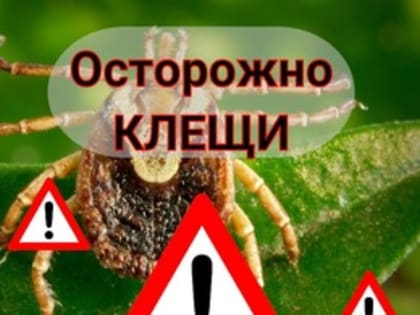 Профилактика клещевого энцефалита