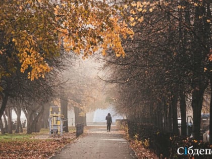 Экстремальные температуры ожидаются в регионе