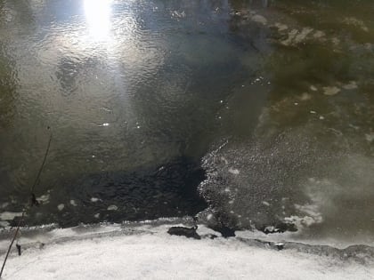 В Воронеже три человека на автомобиле едва не утонули в овраге