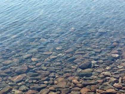 Труп мужчины выловили из Нижнего Покровского озера в Краснодарском крае