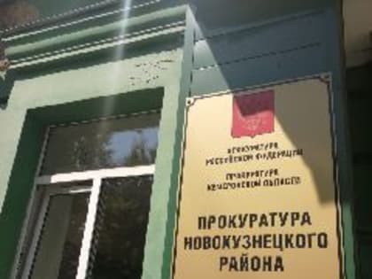 Новокузнечанка, увлекающаяся деторождением, пыталась использовать своих детей для легализации троих мигрантов (ФОТО, ВИДЕО)