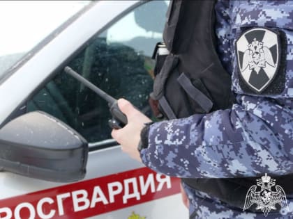 Росгвардейцы задержали злоумышленника, ограбившего комиссионный магазин