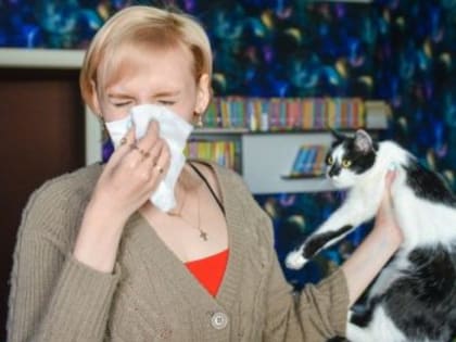 Как аллергия мешает сибирякам жить и что с этим делать?