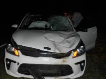 Неумелая кузбасская автоледи решила залечь на дно после того, как два раза разбила арендованный автомобиль