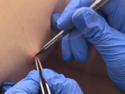 Встреча с новосибирскими коллегами