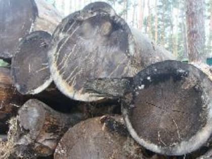 Новые инициативы в области здравоохранения для улучшения качества жизни