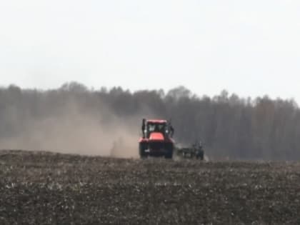 В Тяжинском округе продолжается посевная кампания