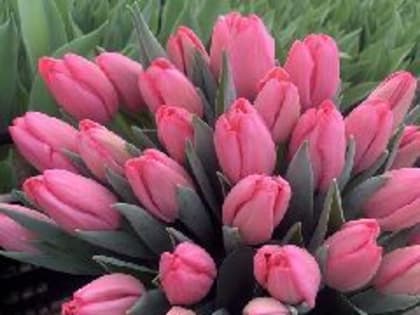 Женщины, с праздником!