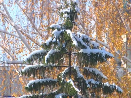 Погода на Покров: народная примета и ее подтверждение