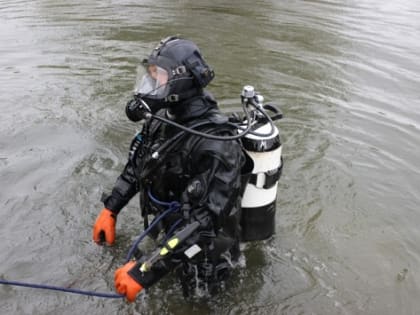 В Самарской области дедушка погиб у всех на глазах