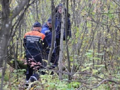 В Кузбассе грибники все чаще теряются в лесах