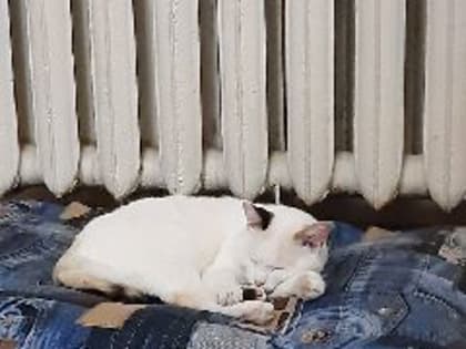 Нелюдимого новоильинца, не желавшего войти в положение замерзающих соседей, через суд заставили впустить слесарей в квартиру