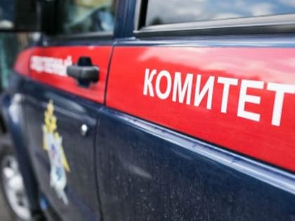 После трагической гибели ребенка в Кузбассе возбудили уголовное дело