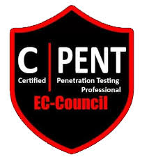 CPENT - Certified Penetration Testing Professional