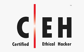 Certified Ethical Hacker v13 (CEH v13)