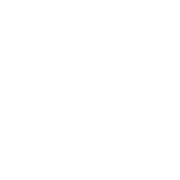 Cell phone icon