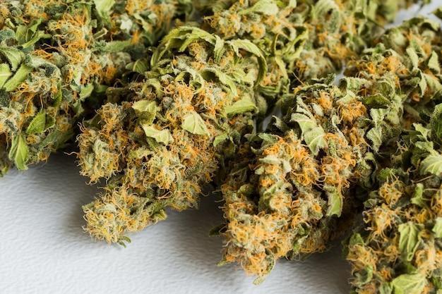 selective focus shot of cannabis on a white surface
